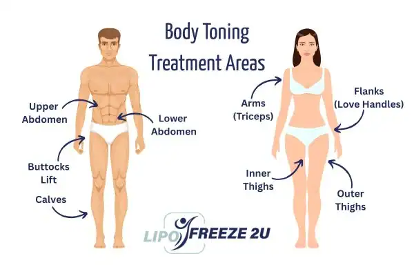 Graphic showing where you can have Body toning Treatment Northolt on your body